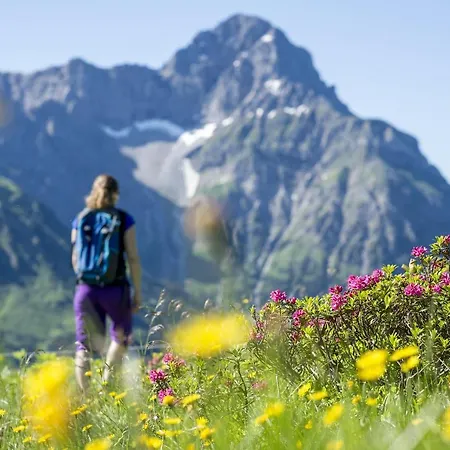 Am Walmendingerhorn Apartamento Mittelberg